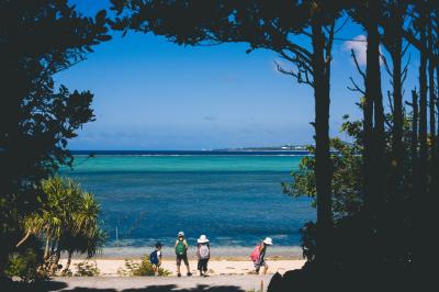 フクギ並木の隠れ家に泊まる沖縄本島　その１