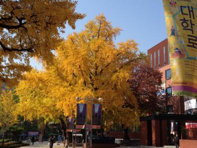 2016年秋ソウル① 東大門ウォーキングツアー~ランタンフェスティバルの巻