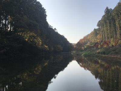 秋の一日　近郊の嵐山渓谷辺りを散策する。