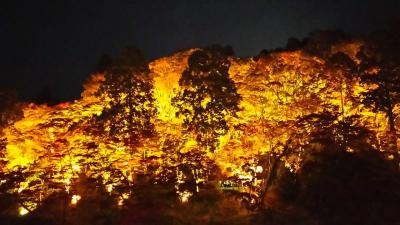 香嵐渓のライトアップと竹灯りの香積寺
