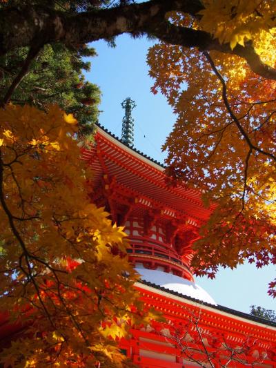 高野山　紅葉さんぽ