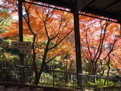 ＜坂東三十三観音巡礼・つくば編2＞紅葉の筑波山・連絡路だと甘くみるな！＆つくばスイーツ♪