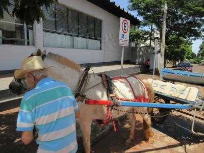 パラナ州最後の とき を楽しんで