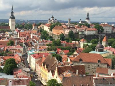 今年は行けました