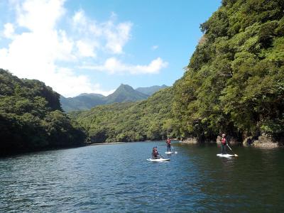 お亀石さんありがとう♪友と屋久島３日目(水遊編）