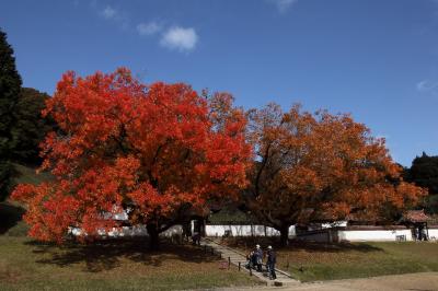 旧閑谷学校の紅葉　2016