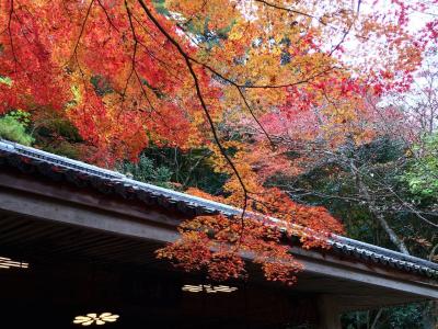 姫路城・有馬温泉紅葉の旅