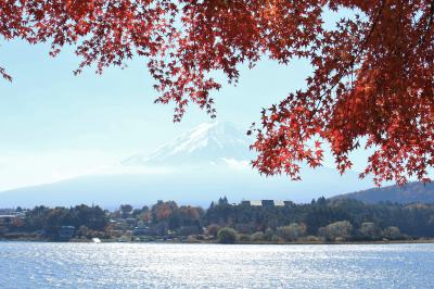 河口湖 湖北ビューライン　「もみじトンネル」