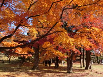 上田城の紅葉と温泉宿でのんびりの旅