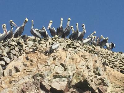 FC夫妻世界一周【16.バジェスタ島】