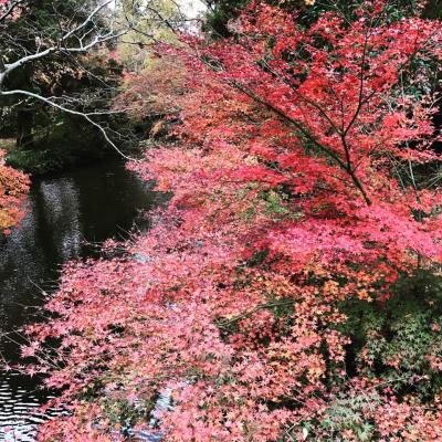 由布院温泉