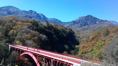 初めてのわんこ同伴旅行　わんわんパラダイス