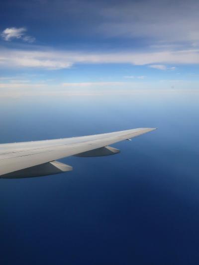 アメリカン航空ＡＡ169便　仙台沖から着陸態勢に　☆茨城県～千葉県上空で