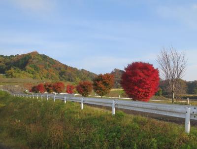 茨城県北芸術祭～山へ①