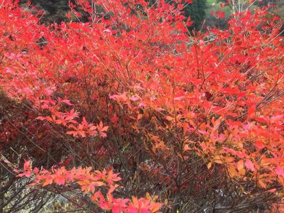 熊本の秘境、五家荘に行く