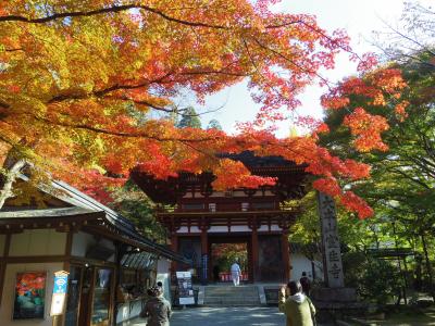 紅葉の室生寺＆長谷寺　長谷寺では、お坊さんのライブも！　