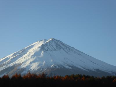 晩秋の優雅な伊豆と富士五湖　愛犬セレブの旅♪　Vol17（第4日目）　☆河口湖：素晴らしい「朝の富士山」を眺めて♪