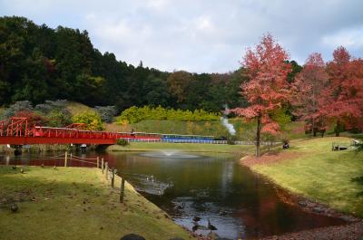 虹の郷で紅葉を見て来ました(2) 2016.11.16