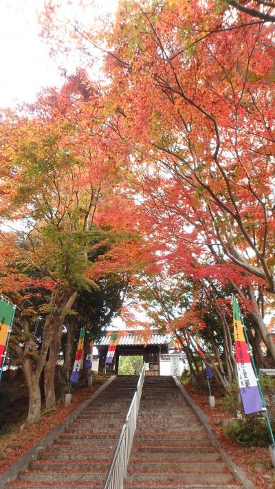 津山線沿線を歩く(2)法界院駅から玉柏駅