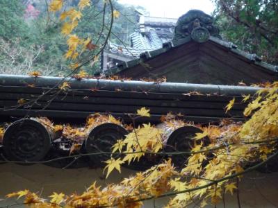 広島の紅葉　佛通寺