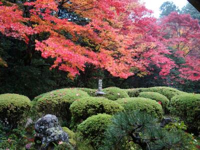 京都横断紅葉の旅