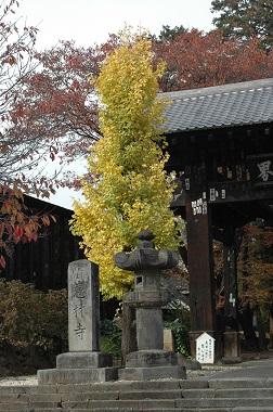 紅葉　　ＩＮ　　甲斐路