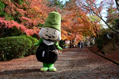 滋賀　三井寺と石山寺へ！