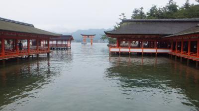 北海道から飛んできたのは広島でした。ポケットからお金落としたって？