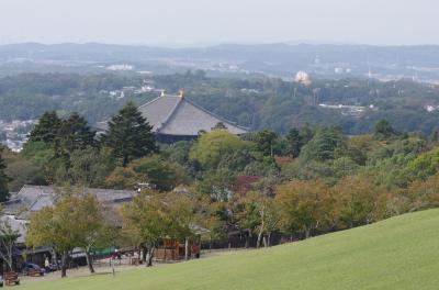 333 地球は丸かった若草山