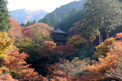 丹波市で紅葉を愛でる