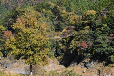 紅葉の大井川鐵道と接岨峡の旅 2016（静岡）