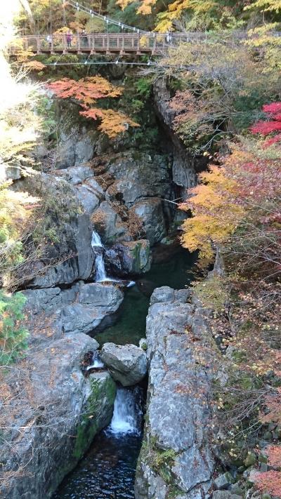 奈良・みたらい渓谷と紅葉 2016.11