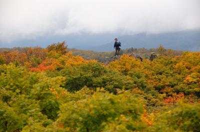 北東北紅葉  １　栗駒山