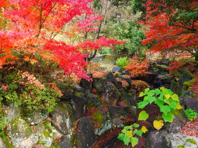 2016年11月20日（日）　鳥取県　紅葉ならここ南部町新宮谷公園！！☆☆☆