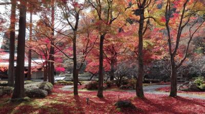 「鷹峯・大徳寺」　自転車で巡る京都絶景紅葉の旅