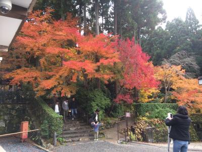 紅葉2016大原三千院