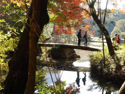 東京駒込・紅葉と大名庭園のライトアップの〝六義園〟～オープンした〝すみだ北斎美術館〟を訪れて