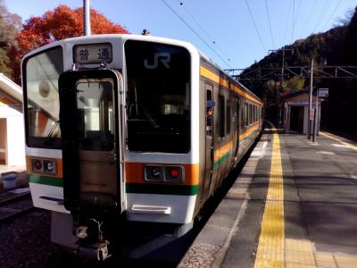 何も、飯田線、秋。秘境駅の