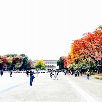 クラーナハ展、上野公園の紅葉