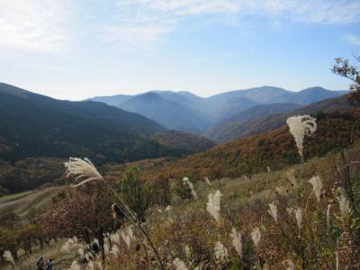 深入山で軽登山