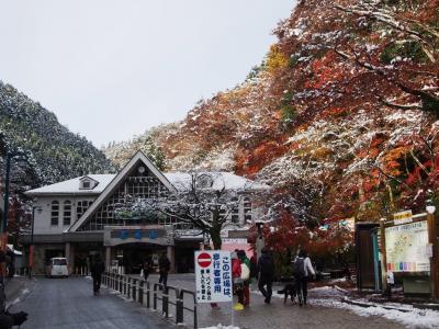 <東京紅葉散歩・１＞まるで雪国！ 天狗が微笑む54年ぶりの奇跡「雪と紅葉の高尾山」　