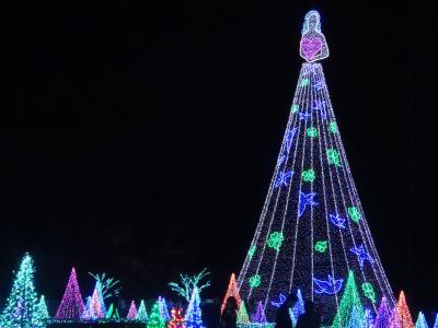 よみうりランドの　イルミネーション　見て来たよ。