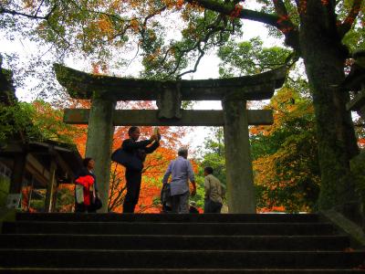 仁井山神社（にいやま神社）・九年庵の隣の紅葉に初めて行きました。