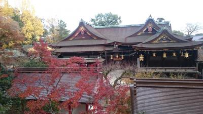 京都の紅葉 北野天満宮、圓徳院、高台寺、聖護院、金戒光明寺、清水寺