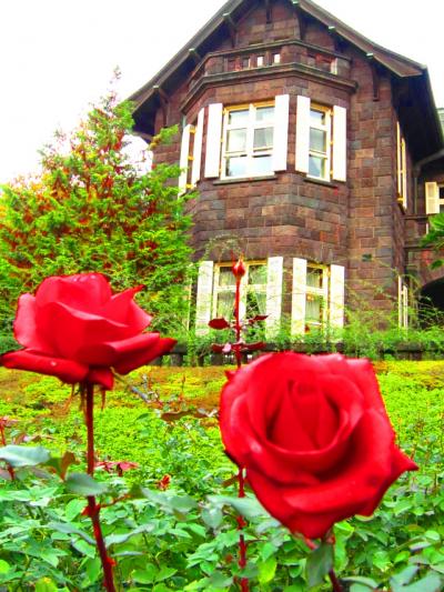 紅葉の旧古河庭園