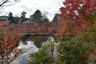 京都の紅葉②　東山～永観堂と貴船神社