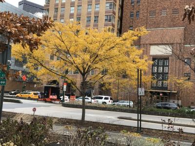 ③ル・パーカー・メリディアンホテル～ANAビジネスクラス利用ル・