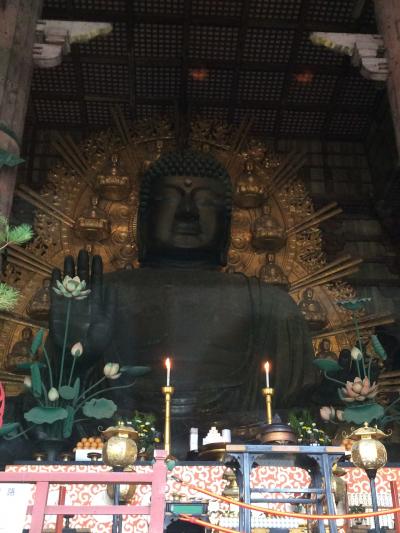 マイルで行った 奈良4日間～3日目