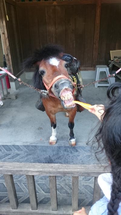 母と子 4歳児と行く 約30年ぶりの修学旅行の地を再び ~太秦映画村・京都タワー・二条城~