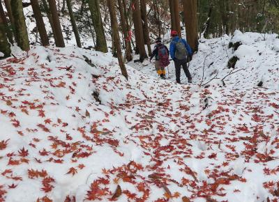 山は不思議な名前が多い・・・御正体山に登って来ました。